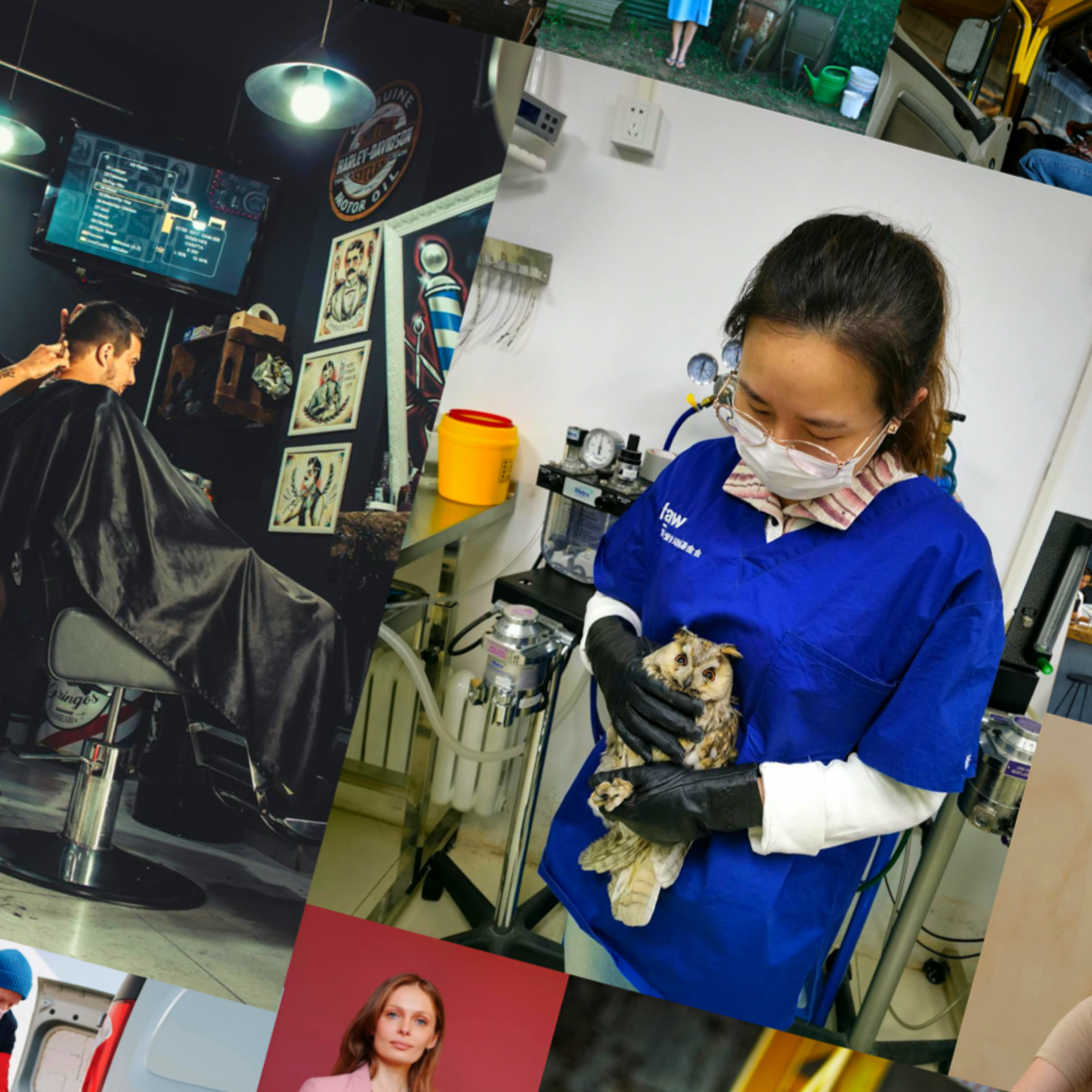 The diversity of small businesses The diversity of small businesses